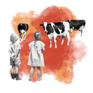 Granja Escuela | Complejo Rural Valdepusa